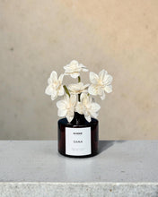 Load image into Gallery viewer, SANA Floral Diffuser | Sandalwood | Amber | Musk